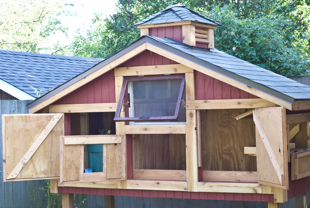 Chicken coop doors