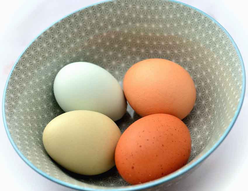 While the shell may appears different, all chicken eggs taste essentially the same