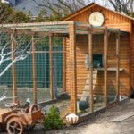 How much work is it to maintain a chicken coop year round?