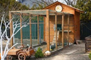 How much work is it to maintain a chicken coop year round?