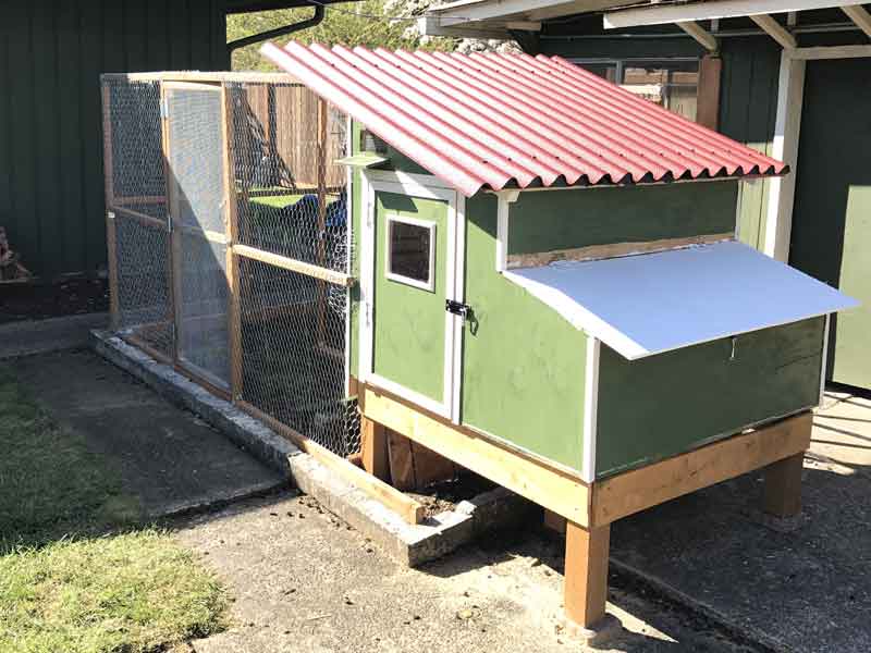 A Backyard Chicken Coop and Run