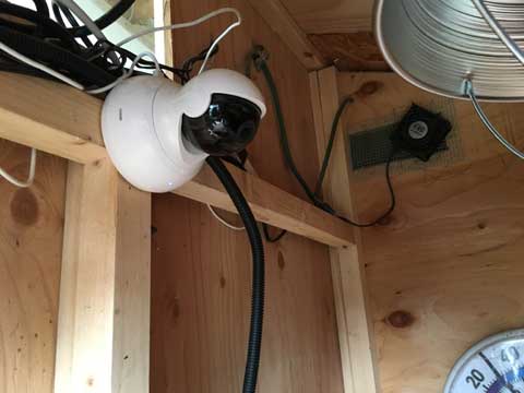 Pan-tilt-zoom webcam mounted high in the center of an interior chicken coop wall. This allows a nearly 100% view inside.