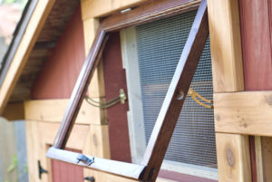 Chicken coop window