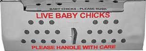 Chicken shipping box