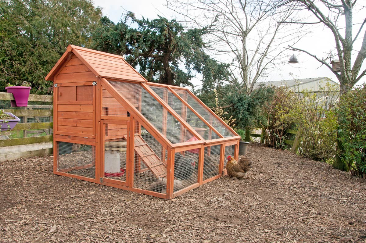 How to Build a Chicken Coop Out of Pallets