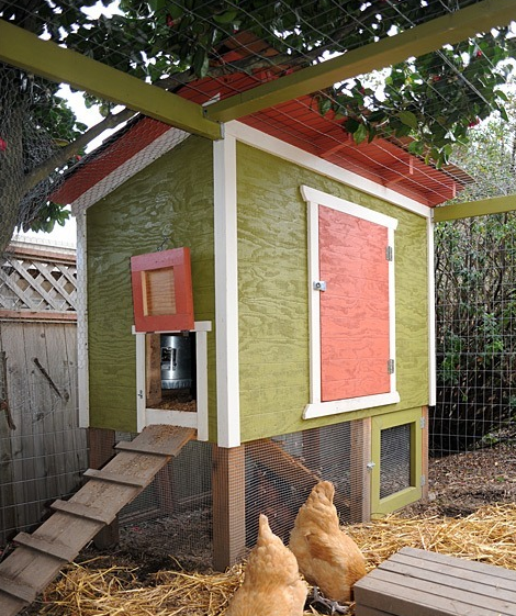 Setting Up An Urban Chicken Coop 7 Beautiful DIY Chicken Coop Plans   4 1 