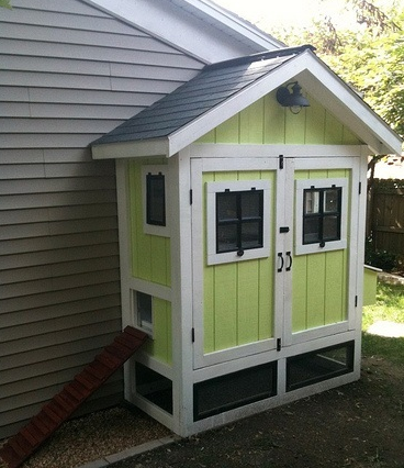 The Small but Spiffy Coop