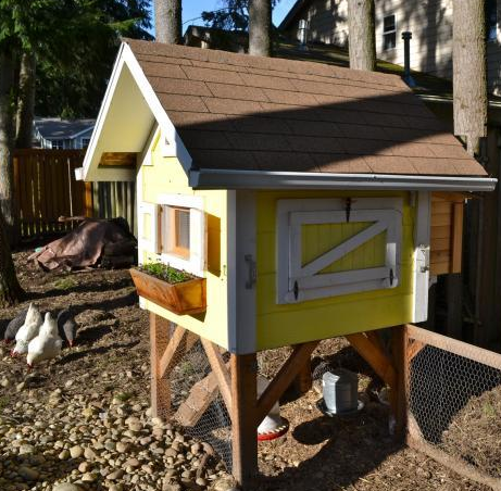 Setting up an Urban Chicken Coop – 7 Beautiful DIY Chicken Coop Plans