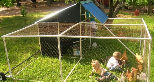 Pretty PVC Modern Chicken Coop