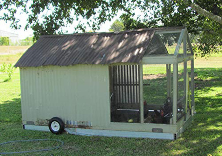 Moveable Chicken Coop Designs to Inspire Your Creativity