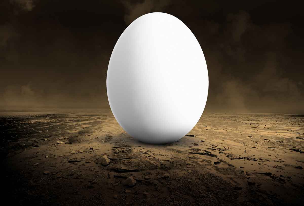 dramatic chicken egg image